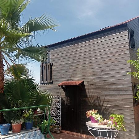 La Cabana Nevada Cenes De La Vega Luaran gambar